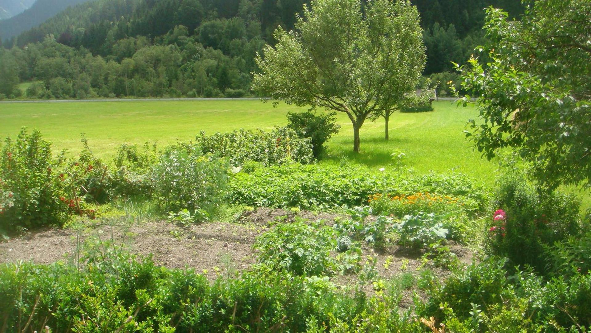 Bio-Bauernhof Obertrattenbachhof Neukirchen am Großvenediger Eksteriør bilde