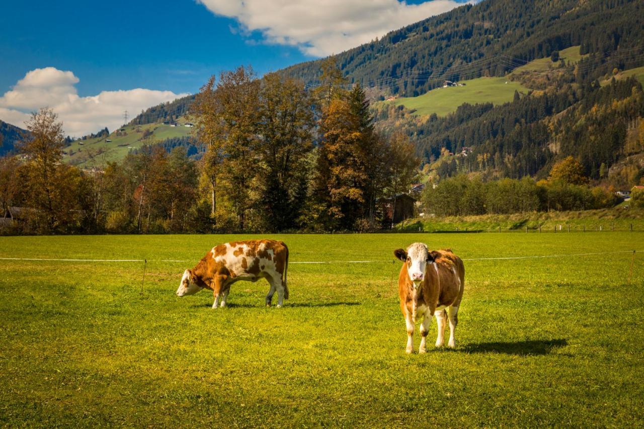 Bio-Bauernhof Obertrattenbachhof Neukirchen am Großvenediger Eksteriør bilde